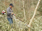 multifunctional harvesting machine